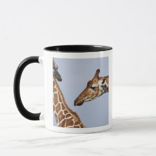 Pair of Reticulated Giraffes (Giraffa) Mug