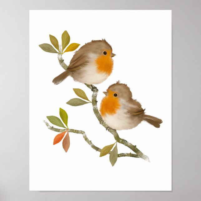 Pair of Robin Birds Poster Print (Front)