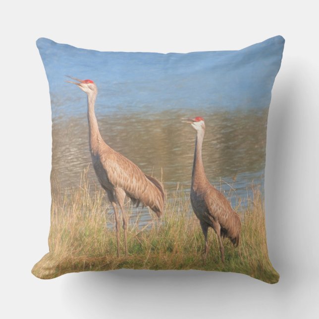 Pair of Sandhill Cranes Cushion (Front)