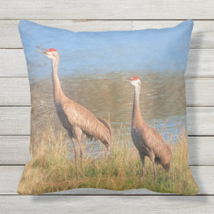 Pair of Sandhill Cranes Cushion