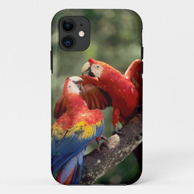 Pair of Scarlet Macaws Case-Mate iPhone Case (Back)
