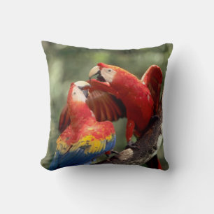 Pair of Scarlet Macaws Cushion