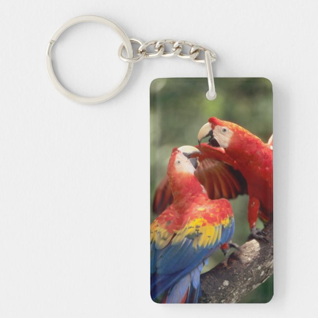 Pair of Scarlet Macaws Key Ring (Front)