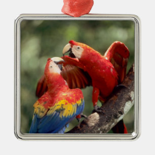 Pair of Scarlet Macaws Metal Ornament