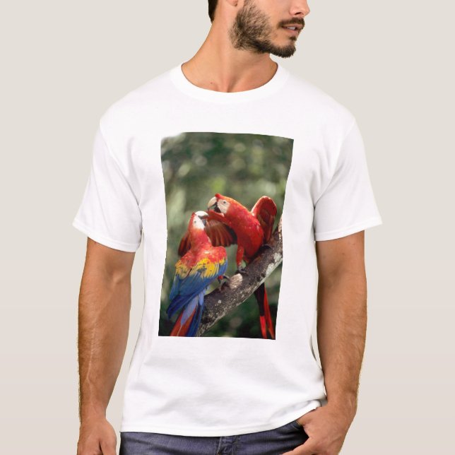 Pair of Scarlet Macaws T-Shirt (Front)