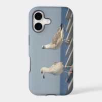 Pair of Seagulls