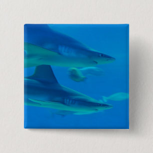 Pair of Sharks Button