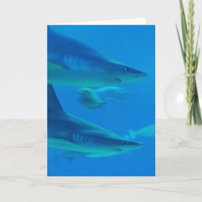 Pair of Sharks  Note Cards (Front)