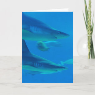 Pair of Sharks  Note Cards