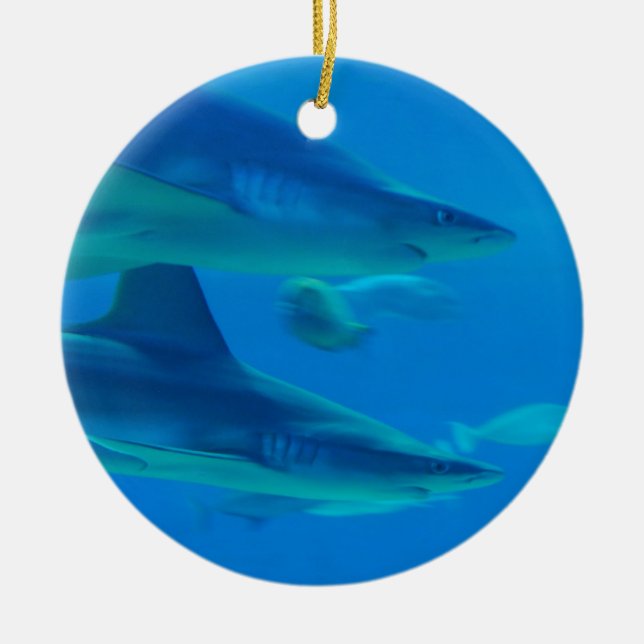 Pair of Sharks Ornament (Front)