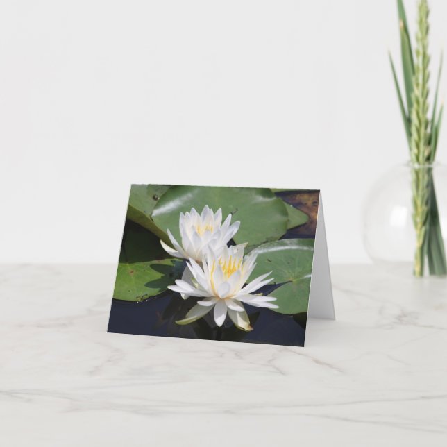 Pair of Water Lilies Note Card (Front)