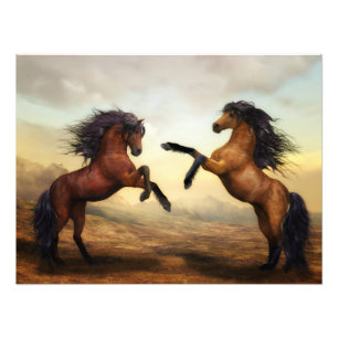 pair of wild horses photo print