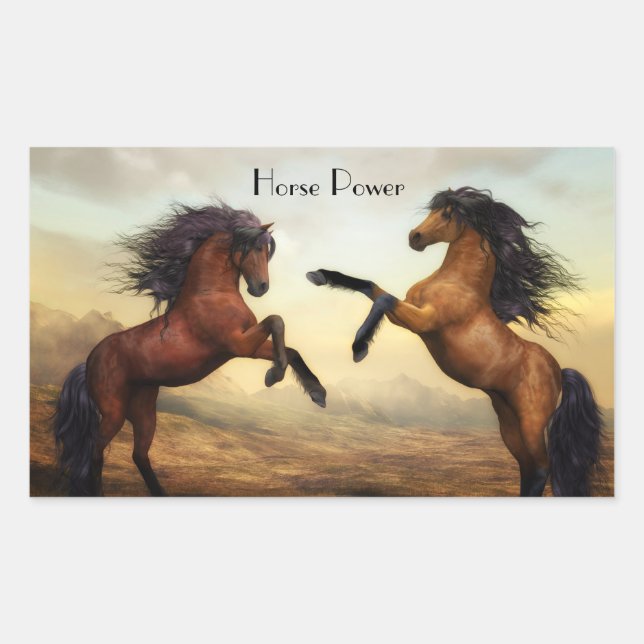 pair of wild horses  rectangular sticker (Front)