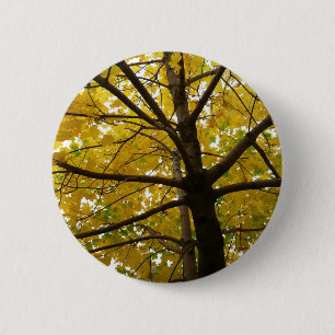 Pair of Yellow Maple Trees Autumn Nature 6 Cm Round Badge