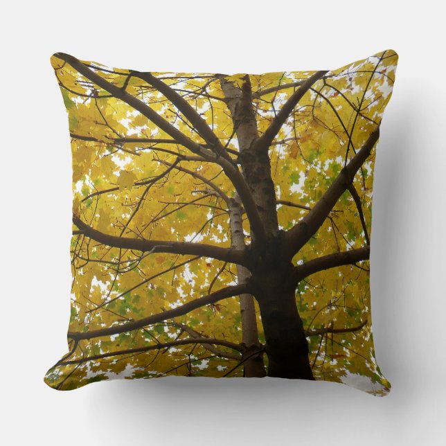Pair of Yellow Maple Trees Autumn Nature Cushion (Front)