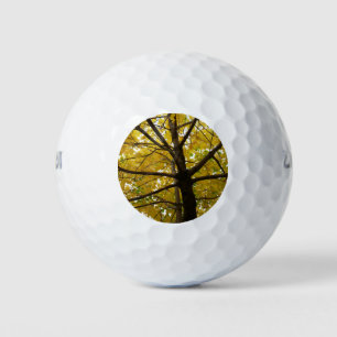 Pair of Yellow Maple Trees Autumn Nature Golf Balls