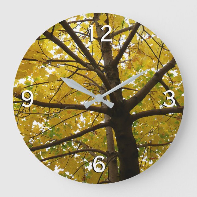 Pair of Yellow Maple Trees Autumn Nature Large Clock (Front)