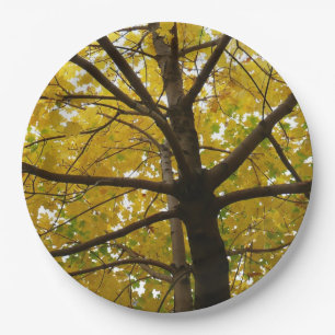 Pair of Yellow Maple Trees Autumn Nature Paper Plate