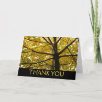 Pair of Yellow Maple Trees Autumn Nature