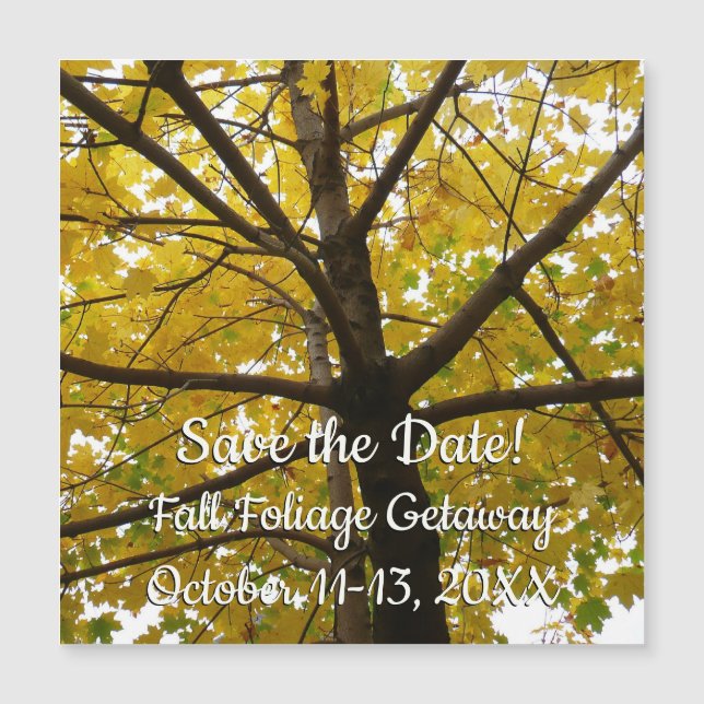 Pair of Yellow Maple Trees Autumn Save the Date (Front)