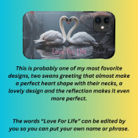 Paired swans on the water 