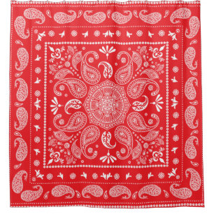 Paisley Design-1 Shower Curtain