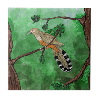 Pájaro Bobo Mayor/Puertorrican Lizard Cuckoo Tile