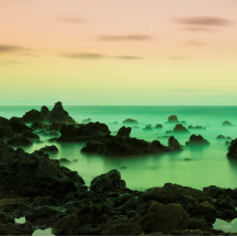 PAKE SALMON - HAWAIIAN FINE ART CALENDAR 2024