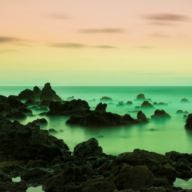 PAKE SALMON - HAWAIIAN FINE ART CALENDAR 2024 (Creator Uploaded)