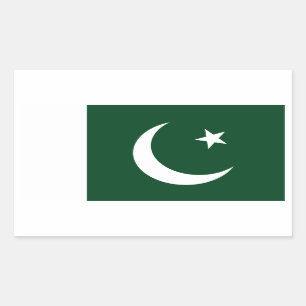 Pakistan/Pakistani Flag Rectangular Sticker