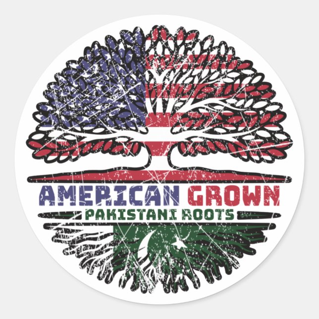Pakistan Pakistani US American USA United States Classic Round Sticker (Front)