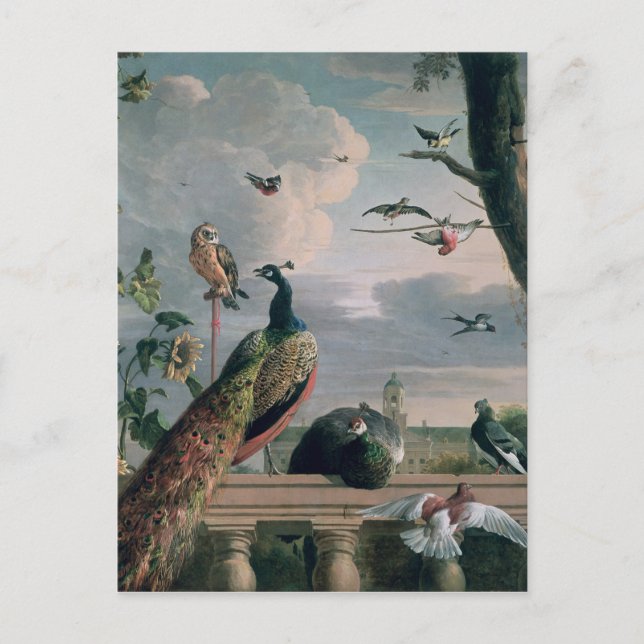 Palace of Amsterdam with Exotic Birds Postcard (Front)