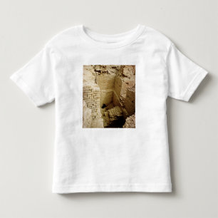 Palace ruin toddler T-Shirt