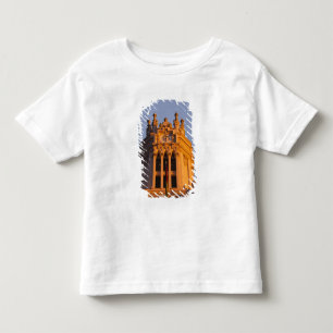 Palacio de Communicaciones, tower detail, sunset Toddler T-Shirt