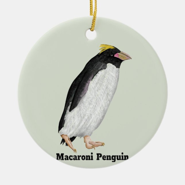 Palaeeudyptes Extinct Penguin Ceramic Ornament (Front)