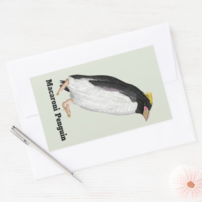 Palaeeudyptes Extinct Penguin Rectangular Sticker (Envelope)