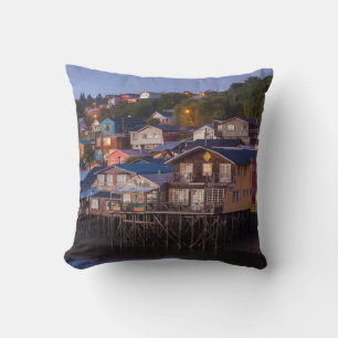 Palafito stilt houses, elevated view cushion
