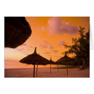 Palapa style beach huts at sunrise, Belle Mare 2