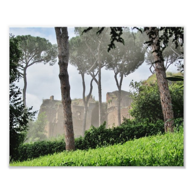 Palatine Hill Through the Trees, Rome Photo Print (Front)