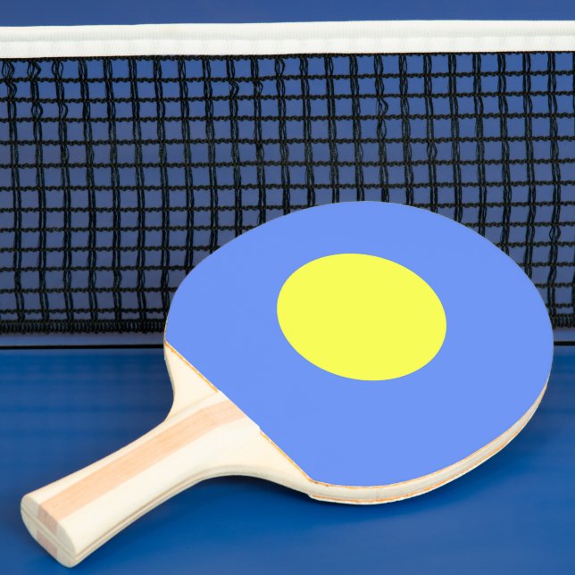 Palau flag ping pong paddle (Insitu)