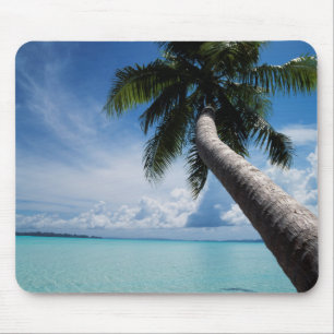 Palau, Micronesia, Palm tree at Palau Lagoon Mouse Pad