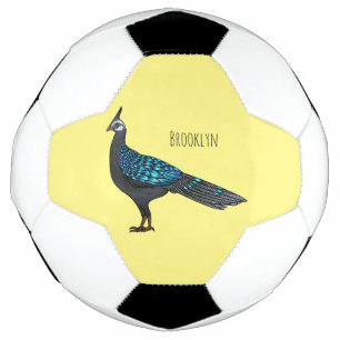Palawan peacock pheasant bird cartoon illustration soccer ball