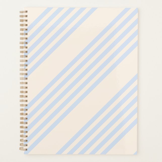Pale blue and beige five stripes pattern planner (Front)