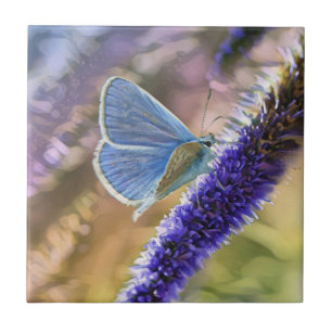Pale Blue Butterfly On Lavender Flowers Ceramic Tile