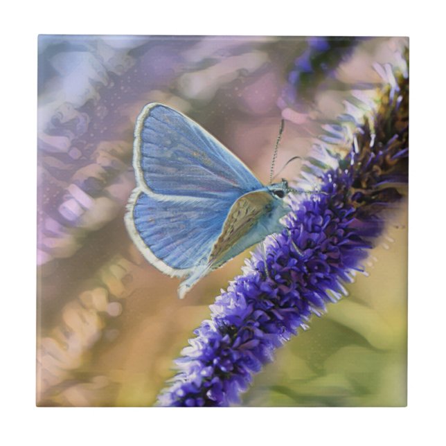 Pale Blue Butterfly On Lavender Flowers Ceramic Tile (Front)