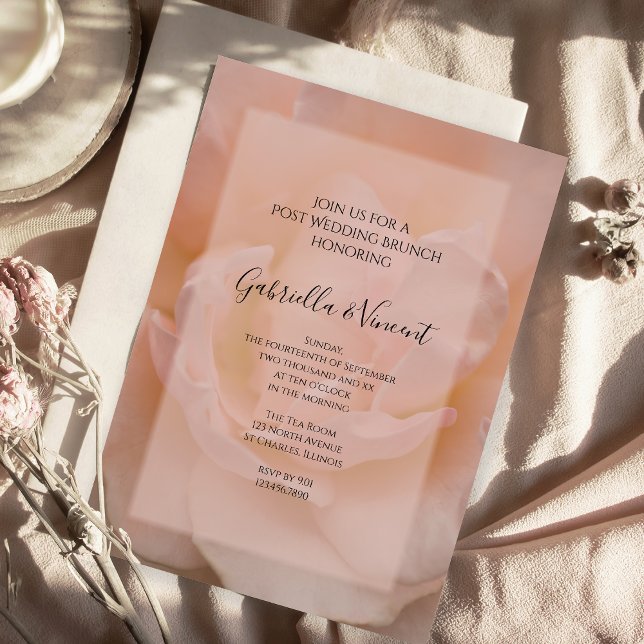 Pale Blush Pink Rose Floral Post Wedding Brunch Invitation (Creator Uploaded)