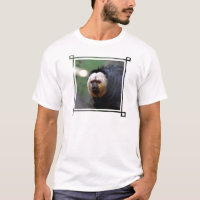 Pale Faced Saki Monkey