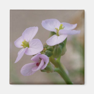 Pale Floral Magnet