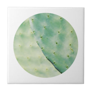 Pale Green Cactus Fig Organic Feel Ceramic Tile
