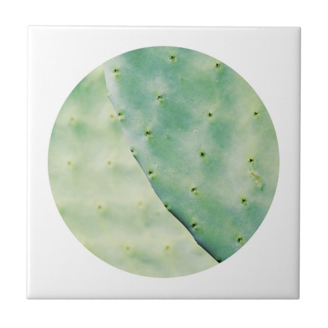 Pale Green Cactus Fig Organic Feel Ceramic Tile (Front)